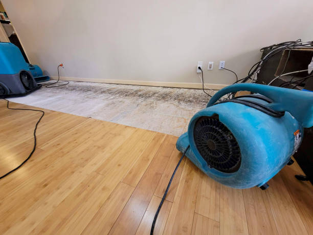 Professional Water Removal technician working in Bradford, NH